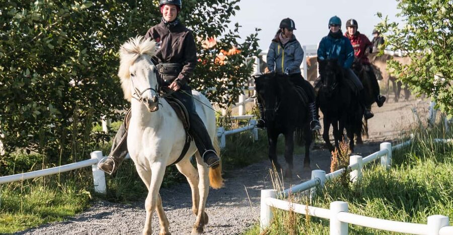 Hveragerdi: The Siggi Horse Riding Tour - Is $132 a fair price?