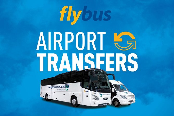 Iceland: Airport Transfers between Keflavík and Reykjavik Center - Arrival at BSÍ Bus Terminal in Reykjavík