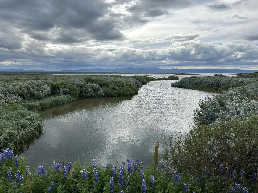 Iceland atv. atv guided trip close to dettifoss iceland - Seals, birds, and the river’s estuary