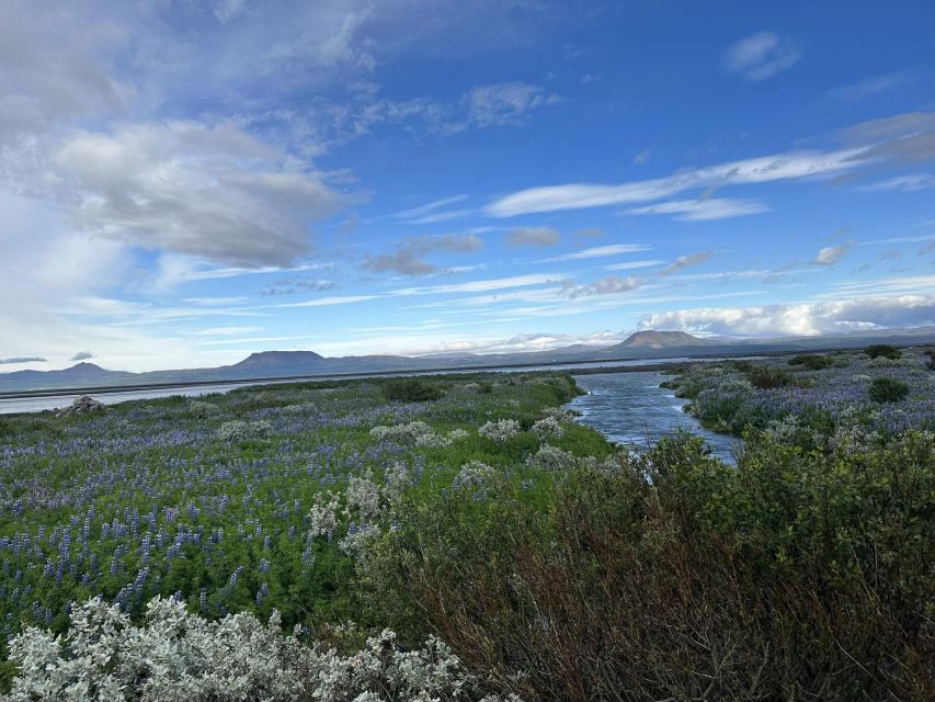 Iceland atv. atv guided trip close to dettifoss iceland - Who will enjoy this ATV tour?