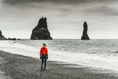 Full-Day South Coast, Black Beach & Waterfalls Tour
