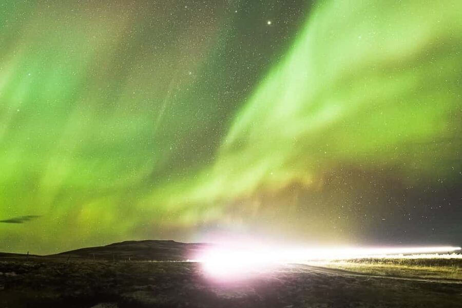 Iceland: Northern Lights Bus Tour from Reykjavik - Who should book this Reykjavik aurora tour?