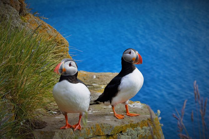 Iceland's Gunnuhver: Fire Land Private Tour by car - Brimketill and the Atlantic’s rough edge