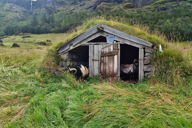 Iceland's south coast G spots - A full day from Reykjavik, with little wasted time