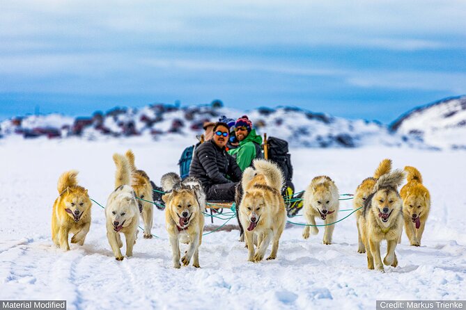 Iceland: See & Experience it ALL in 9 Days, 1st Class Custom Tours - Day 5: The south coast’s famous waterfalls and black beach