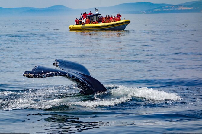 Iceland: See & Experience it ALL in 9 Days, 1st Class Custom Tours - Day 6: Skaftafell, Jökulsárlón, ice caves, and Diamond Beach