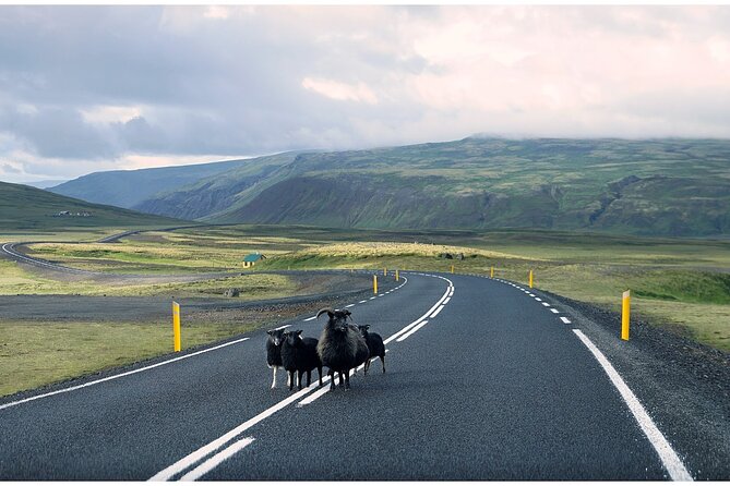 Iceland South Coast Tour with Pickup - Solheimajokull Glacier: close enough to feel the scale