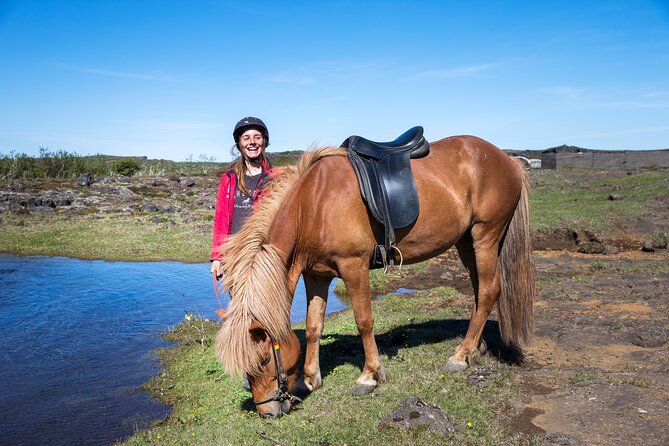 Icelandic Horse Riding and Whale Watching Tour from Reykjavik - Boat comfort, food, and cold-weather advice