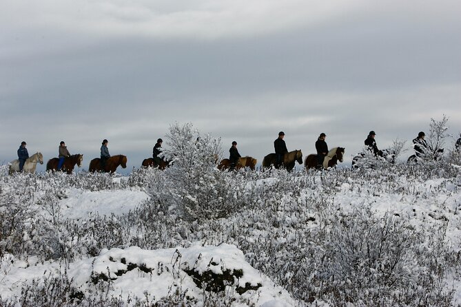 Icelandic Horse Riding and Whale Watching Tour from Reykjavik - Riding across lava fields and open moorland