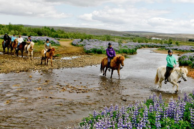 Icelandic Horseback Riding Tour Including Pick Up from Reykjavik - Why this farm visit feels different from a city attraction