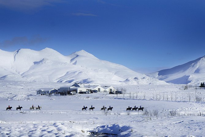 Icelandic Horseback Riding Tour Including Pick Up from Reykjavik - Feeling the Icelandic horse’s famous tölt