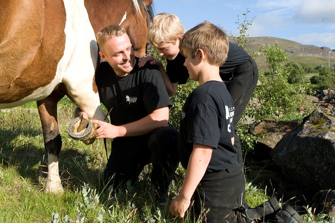 Icelandic Horseback Riding Tour Including Pick Up from Reykjavik - What happens after the ride