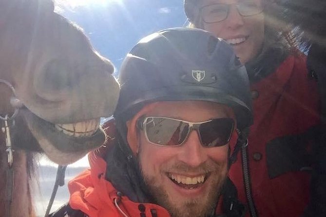 Icelandic Horseback Riding Tour Including Pick Up from Reykjavik - Is the $152.37 price good value?