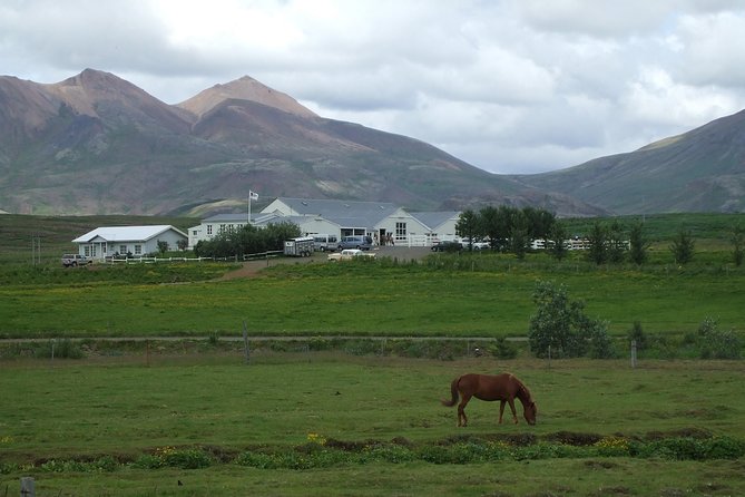 Icelandic Horseback Riding Tour Including Pick Up from Reykjavik - Pickup from Reykjavik and the short trip to the farm