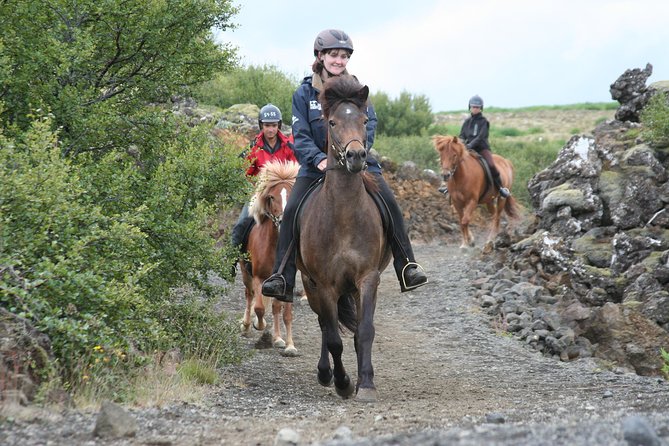 Icelandic Horseback Riding Tour with Pickup Option from Reykjavik - Key points before you book