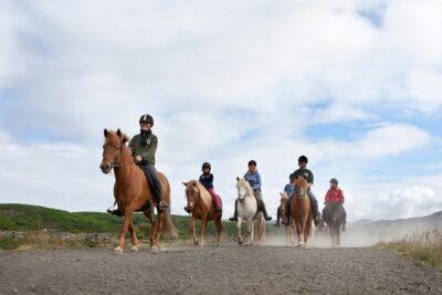 Icelandic Horseback Riding Tour with Pickup Option from Reykjavik