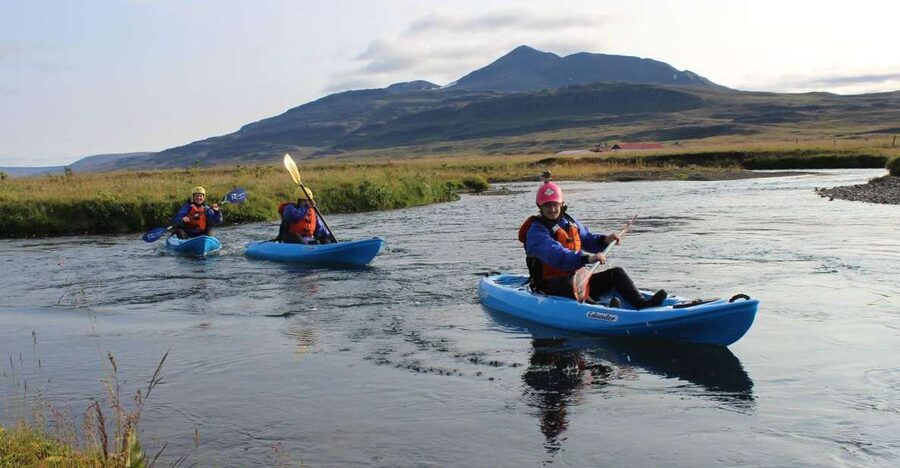 Icelandic Kayak Trip - Why the birdlife and water-level view matter