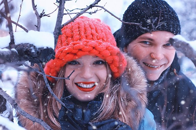 Icelandic Sagas and Glacier Cave Private Tour from Reykjavik - What the $1,177.53 price really buys