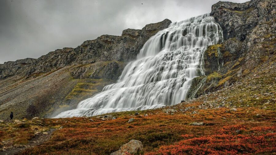 Isafjordur: Dynjandi Waterfall Tour and Icelandic Farm Visit - Key points at a glance