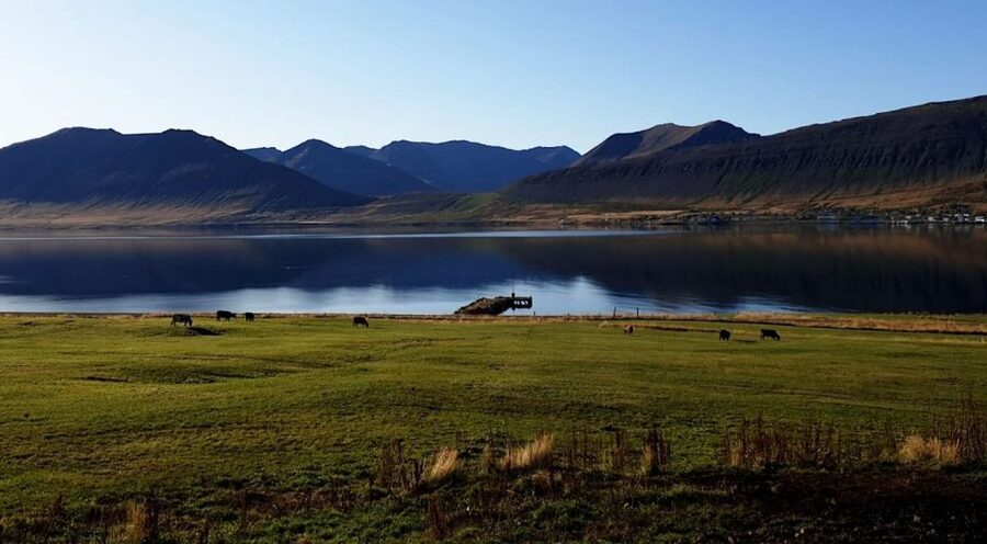 Isafjordur: Dynjandi Waterfall Tour and Icelandic Farm Visit - Timing, comfort, and the cruise-ship question
