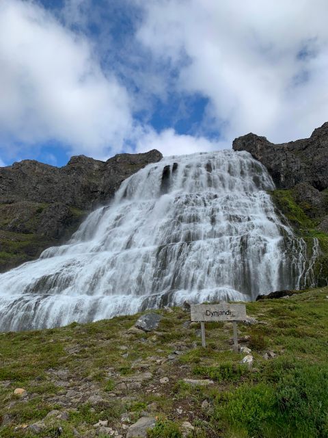 Isafjordur: Dynjandi Waterfall Tour and Icelandic Farm Visit - Who should book this tour