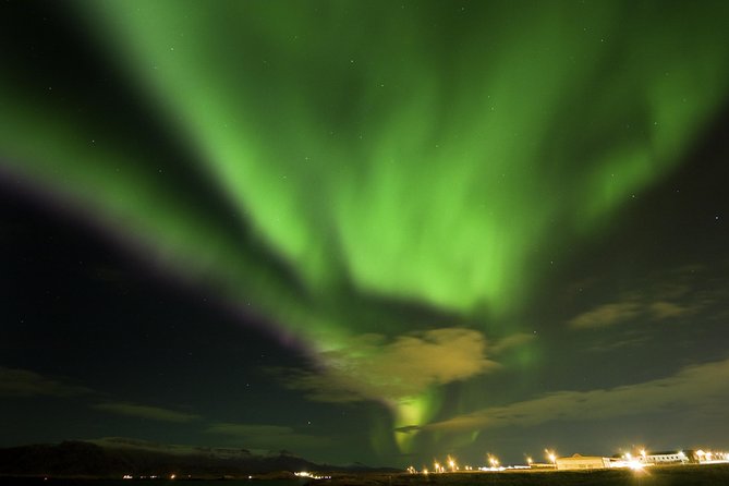 Kopar Fine Dining Dinner and Northern Lights Cruise from Reykjavik - Food preferences and special occasions