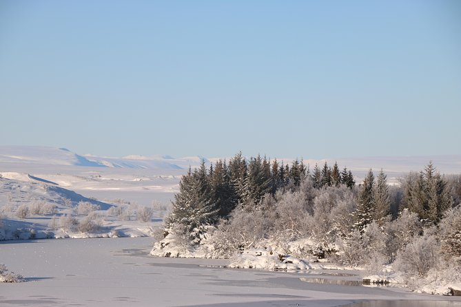 Lake Mývatn and Powerful Dettifoss Day Tour from Akureyri - Dettifoss is the reason to accept the long drive