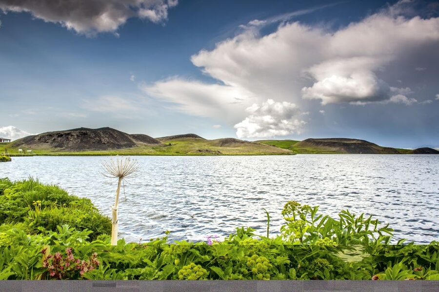 Lake Mývatn Classic Tour from Akureyri - Skútustaðir shows where lava met water