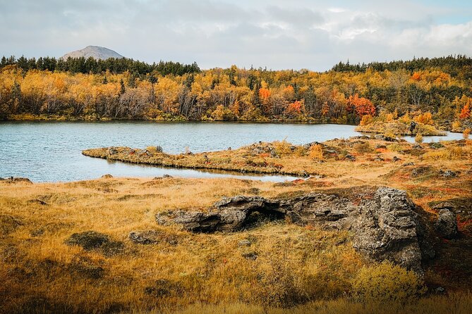 Lake Myvatn Godafoss and Dettifoss Waterfalls Tour in Iceland - What nine hours in a minibus really means