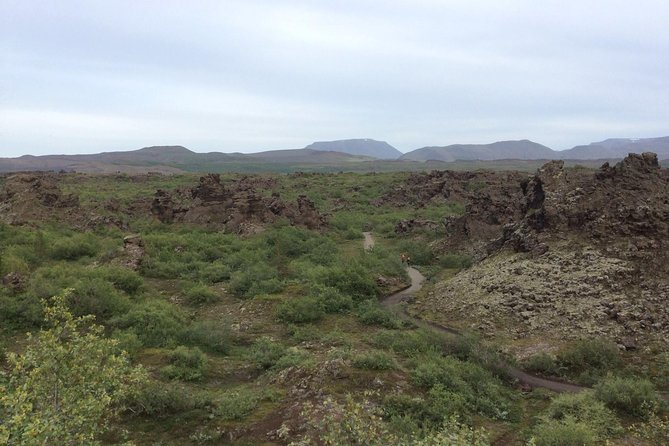 Lake Mývatn Private Tour - Skútustaðagígar explains the lake’s volcanic character