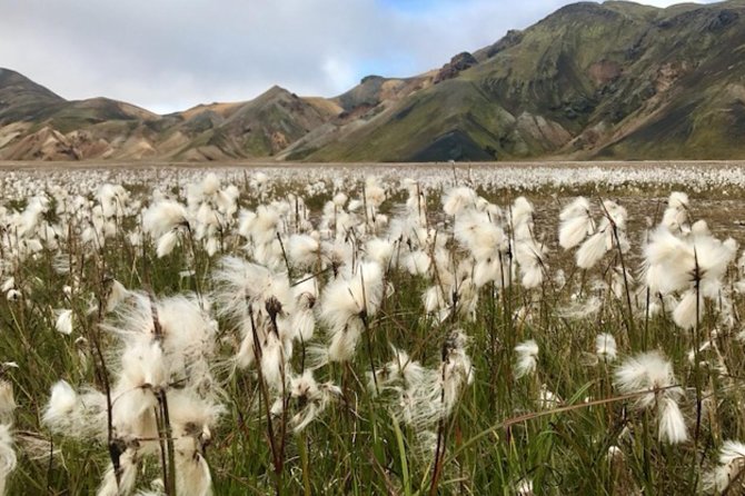 Landmannalaugar by Super Jeep - Why a Super Jeep Makes Sense Here