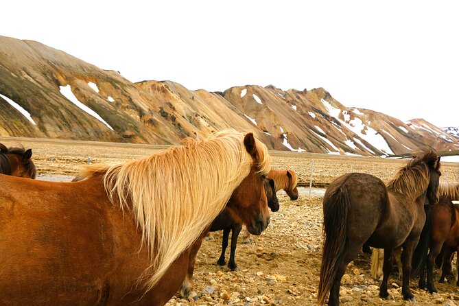 Landmannalaugar Hiking, Haifoss Waterfall and Hot Springs Tour - Hjálparfoss brings an easy first stop