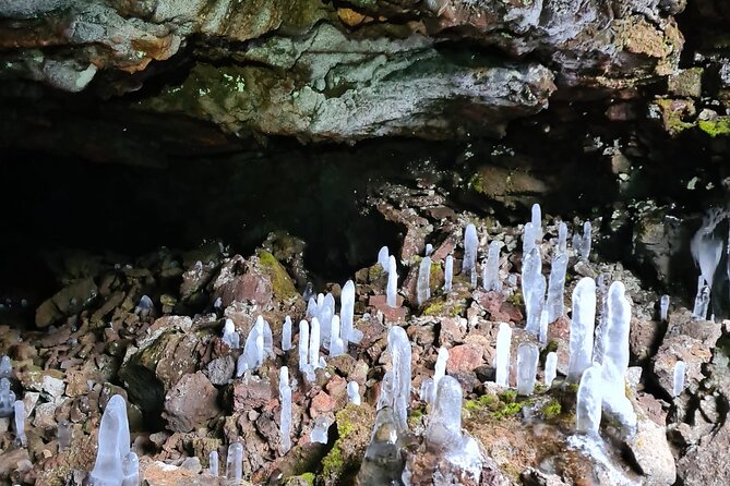 Lava Tunnel & Caving Adventure - Two hours among lava tubes and volcanic forms