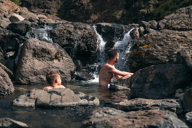 Lava Waterfalls, Sagas & Unique Canyon Baths - Small Group Tour - Meeting Icelandic horses at Sturlureykir