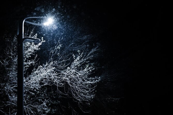 Magical Christmas Private Tour in Beautiful Reykjavik - Rainbow Street is the picture stop