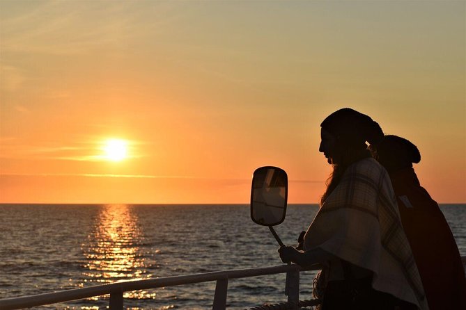 Magical Whales in the Midnight Sun | from Reykjavik - Key points to know before you book
