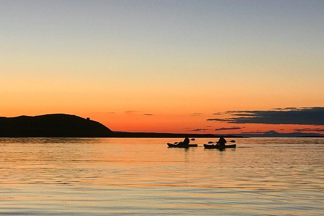 Midnight Sun Kayaking Adventure by Mt. Kirkjufell - Wildlife adds a welcome surprise