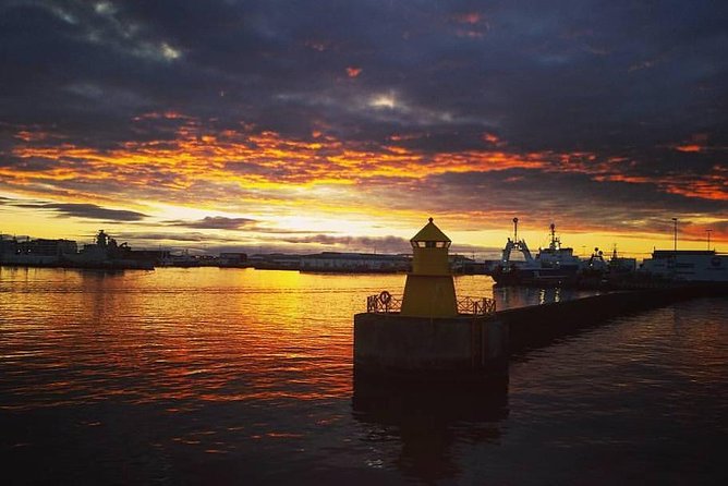 Midnight Sun Whale Watching from Reykjavik - What the group size means for your view