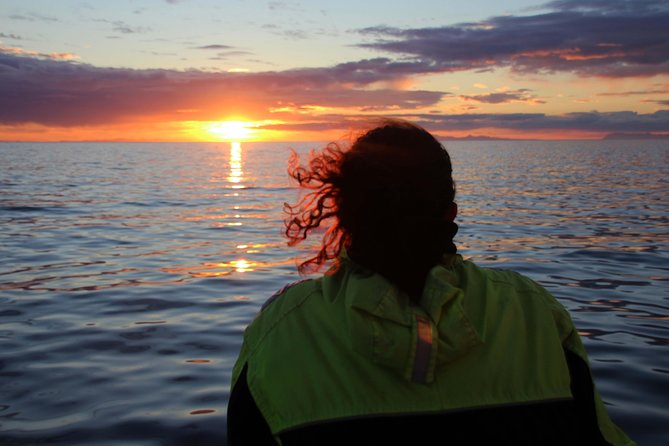 Midnight Sun Whale Watching from Reykjavik - From Geirsgata 11 to the open bay