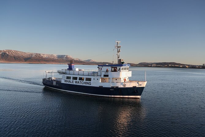 New Years Fireworks by Boat from Reykjavik - Northern Lights Are Possible, Not Promised