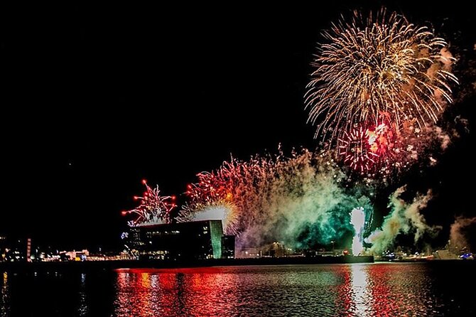 New Years Fireworks by Boat from Reykjavik - Booking Timing and Cancellation Rules