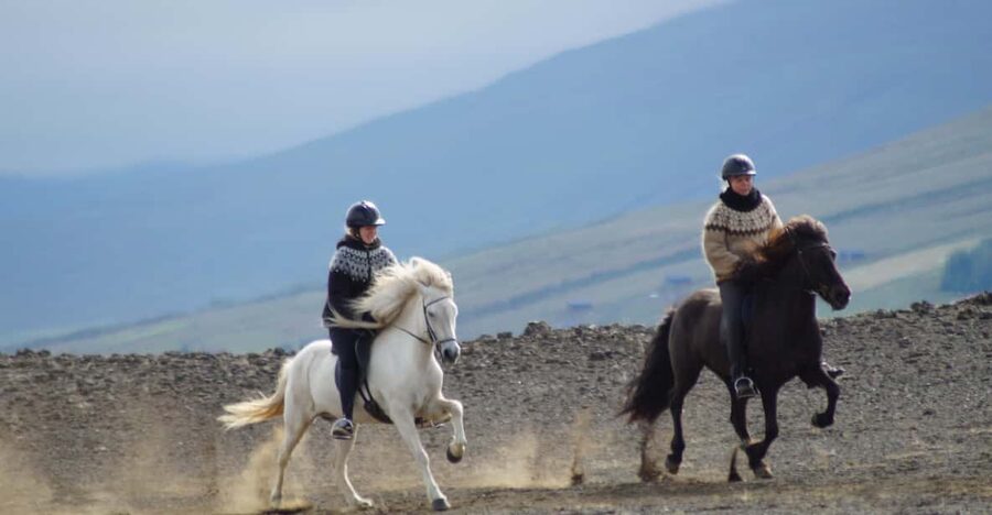 North Iceland: Horseback Riding Tour - Key points to know before you ride