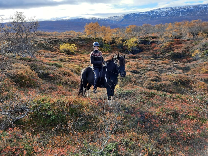 North Iceland: Horseback Riding Tour - Returning through the natural birch forest