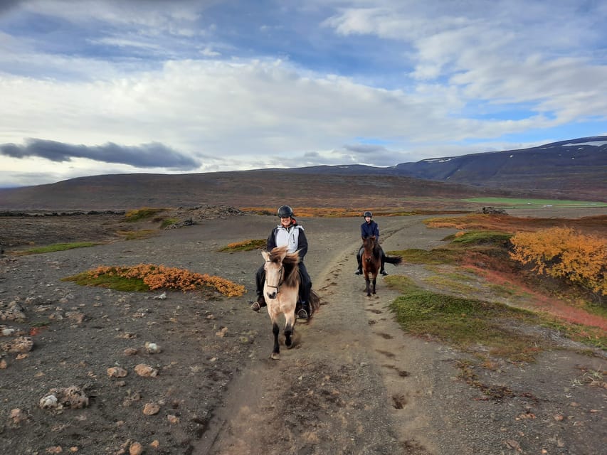 North Iceland: Horseback Riding Tour - Learning the tölt without pressure
