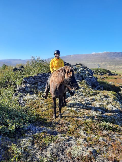 North Iceland: Horseback Riding Tour - What $141 covers, and what it does not