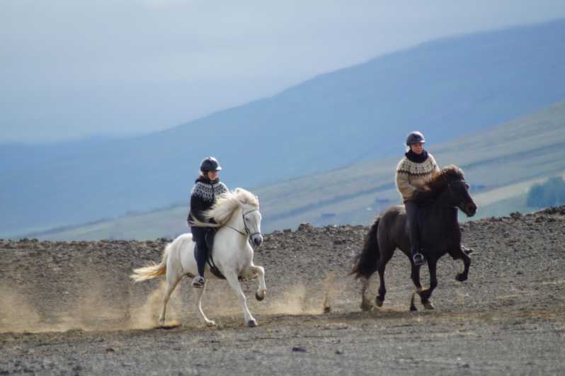 North Iceland: Horseback Riding Tour - Down to the river through working farmland