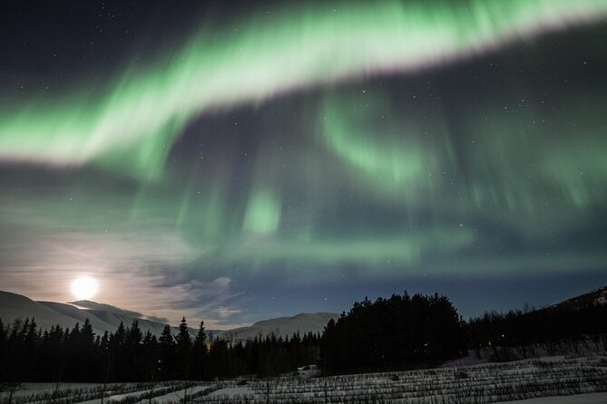 Northern Lights 4x4 Tour from Akureyri - Key points to know before booking