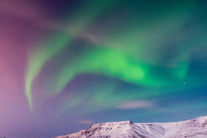 Northern Lights Boat Cruise from Reykjavik - A close look at the boat and crew