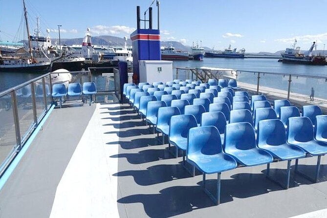Northern Lights Boat Cruise from Reykjavik - Searching the sky from the observation deck
