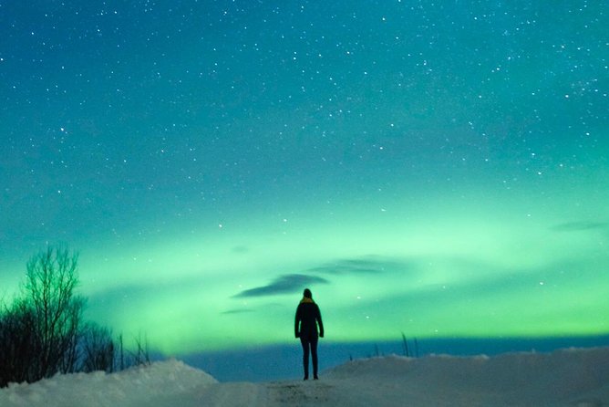 Northern Lights Bus Tour from Reykjavik with Hot Chocolate - How to prepare for an Icelandic night outside